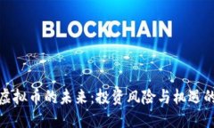 探讨虚拟币的未来：投资风险与机遇的平衡