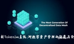 深入解析Tokenim系统：对数字资产管理的颠覆与价