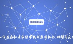 如何在虚拟币市场中找到盈利机会：回顾与反思