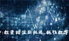 虚拟币合炒：投资增值新机遇，抓住数字资产的