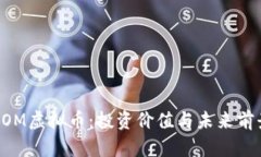 探秘GOM虚拟币：投资价值与未来前景解析