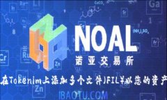如何在Tokenim上添加多个文件（FIL）以您的资产管