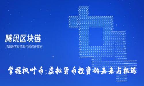 掌握枫叶币：虚拟货币投资的未来与机遇