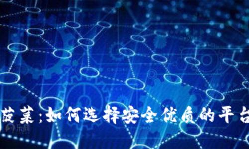 了解虚拟币菠菜：如何选择安全优质的平台与投资策略