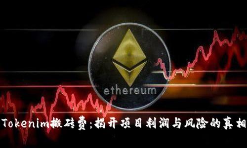 Tokenim搬砖费：揭开项目利润与风险的真相