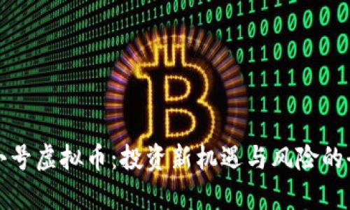 探索小号虚拟币：投资新机遇与风险的全解析