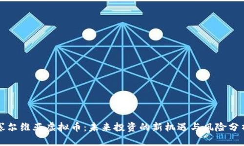 塞尔维亚虚拟币：未来投资的新机遇与风险分析