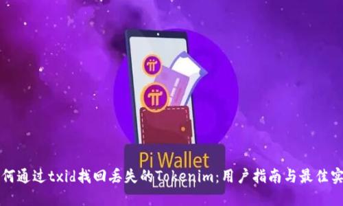 如何通过txid找回丢失的Tokenim：用户指南与最佳实践