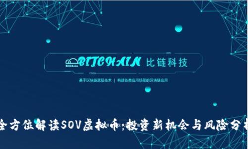 全方位解读SOV虚拟币：投资新机会与风险分析