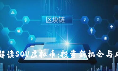 全方位解读SOV虚拟币：投资新机会与风险分析