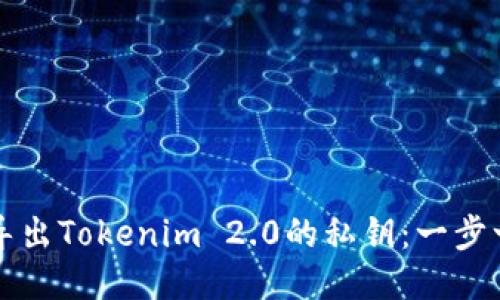 如何安全导出Tokenim 2.0的私钥：一步一步的指南