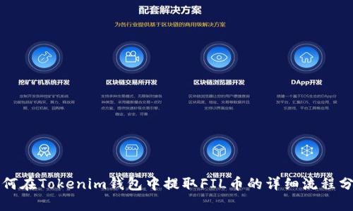 如何在Tokenim钱包中提取FIL币的详细流程分析