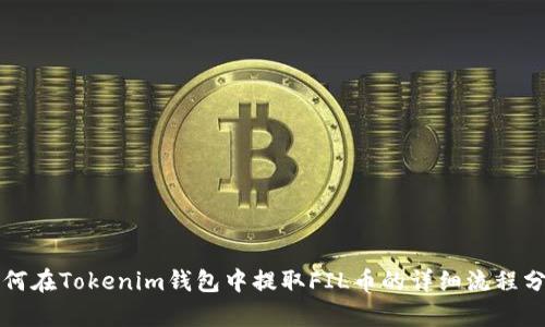 如何在Tokenim钱包中提取FIL币的详细流程分析