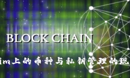 Tokenim上的币种与私钥管理的现状分析