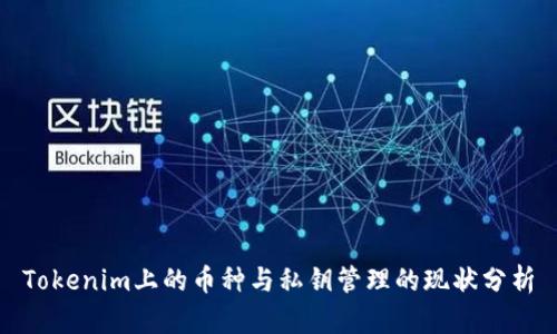 Tokenim上的币种与私钥管理的现状分析