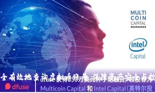 如何安全有效地查询虚拟币账号，保障资产安全与投资收益