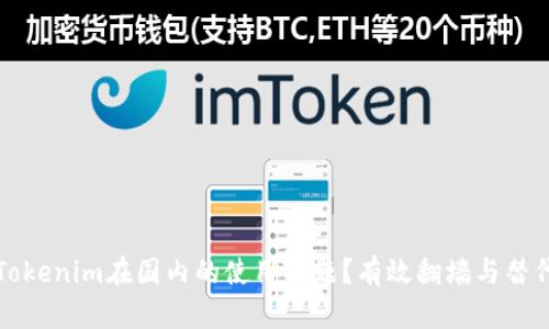 如何解决Tokenim在国内的使用问题？有效翻墙与替代方案解析