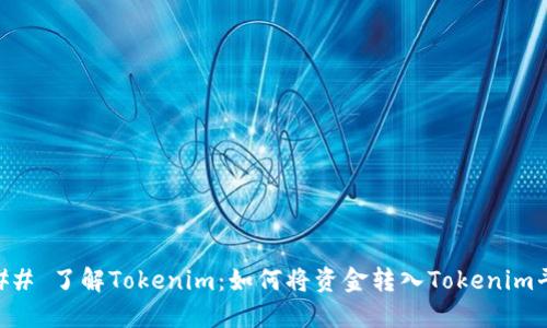### 了解Tokenim：如何将资金转入Tokenim平台