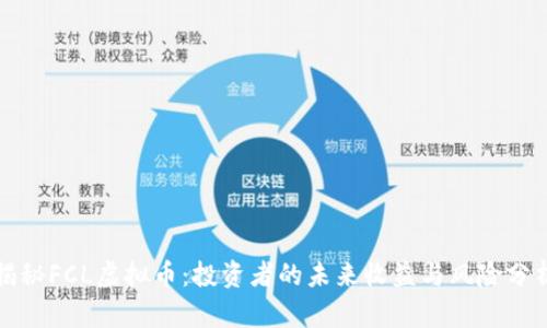 揭秘FCL虚拟币：投资者的未来收益与风险分析