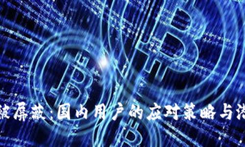 虚拟币被屏蔽：国内用户的应对策略与潜在机会