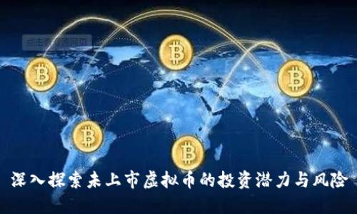 深入探索未上市虚拟币的投资潜力与风险