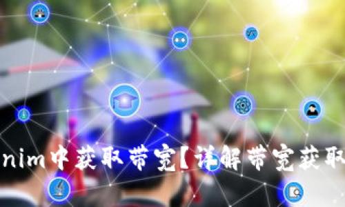 如何在Tokenim中获取带宽？详解带宽获取途径与技巧