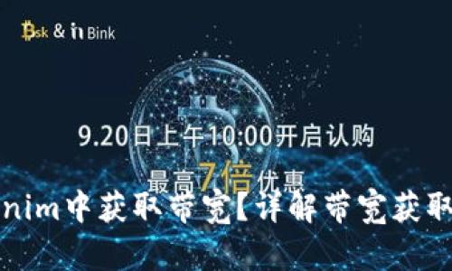 如何在Tokenim中获取带宽？详解带宽获取途径与技巧