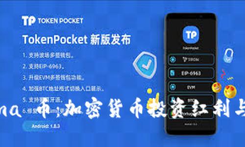 Tokenimma 币：加密货币投资红利与未来展望