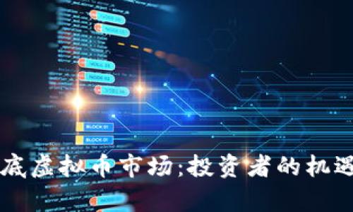 国资如何抄底虚拟币市场：投资者的机遇与风险解析