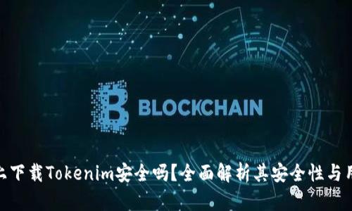 在百度上下载Tokenim安全吗？全面解析其安全性与用户体验