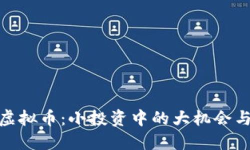 探秘母鸡虚拟币：小投资中的大机会与潜在风险