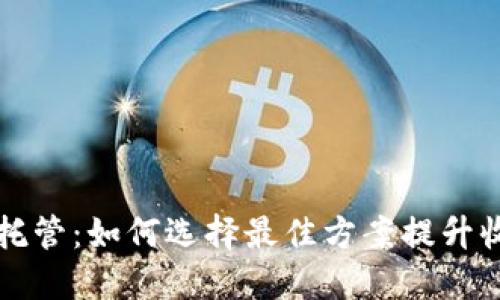 虚拟币节点托管：如何选择最佳方案提升收益与安全性