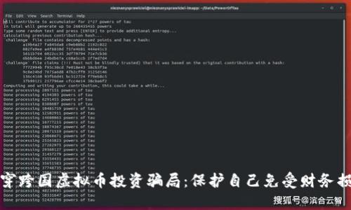揭穿跨国虚拟币投资骗局：保护自己免受财务损失