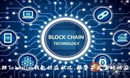 如何处理Tokenim钱包被盗状况，报警不立案时的应对策略