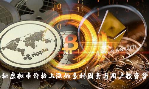 揭秘虚拟币价格上涨的多种因素与用户投资价值