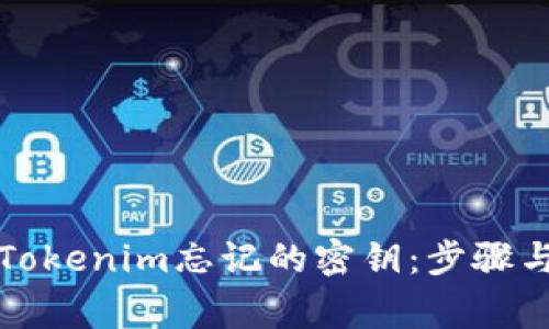如何找回Tokenim忘记的密钥：步骤与注意事项
