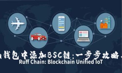 如何在Tokenim钱包中添加BSC链：一步步攻略与用户收益分析