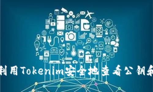 如何利用Tokenim安全地查看公钥和私钥