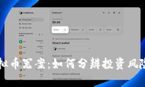 解密虚拟币冤案：如何分辨投资风险与真相