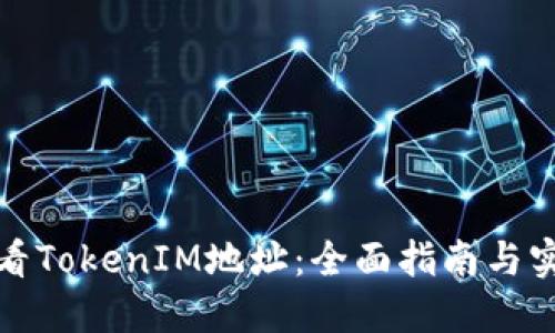 如何查看TokenIM地址：全面指南与实用技巧
