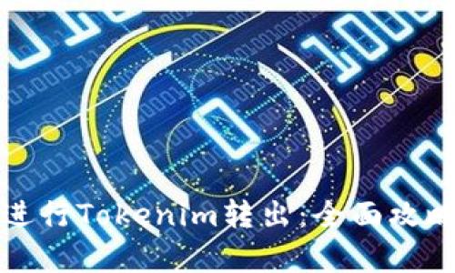如何安全便捷地进行Tokenim转出：全面攻略与用户收益解析
