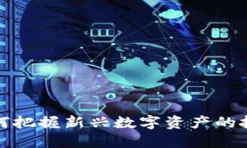 FIN虚拟币：如何把握新兴数字资产的投资机会与风险