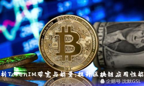 深入解析TokenIM带宽与能量：提升区块链应用性能的关键