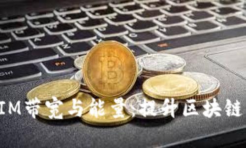 深入解析TokenIM带宽与能量：提升区块链应用性能的关键