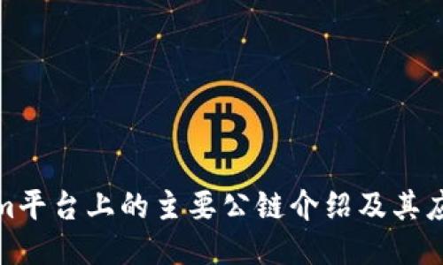 Tokenim平台上的主要公链介绍及其应用价值